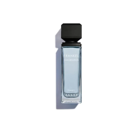 Frankel Imagination 100 ML